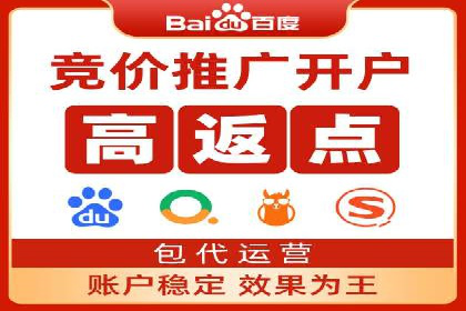 大型SEM服务公司案例分析